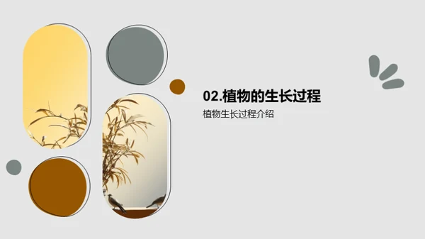 商务风教育培训教学课件PPT模板