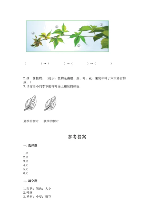 教科版科学一年级上册第一单元《植物》测试卷（夺冠系列）word版.docx