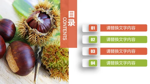 美食坚果板栗宣传动态PPT模板