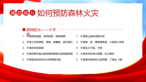 3月21日世界森林日森林火灾森林防火主题班会PPT