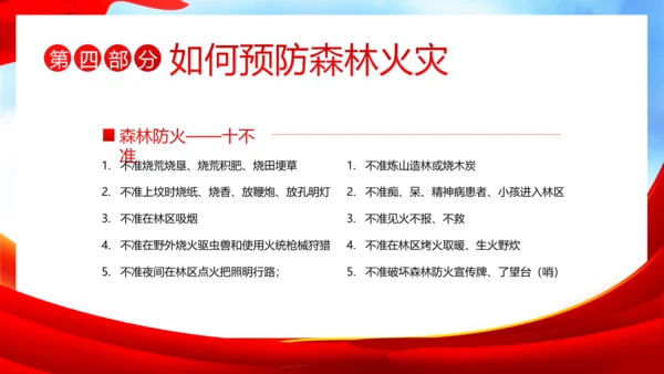 3月21日世界森林日森林火灾森林防火主题班会PPT