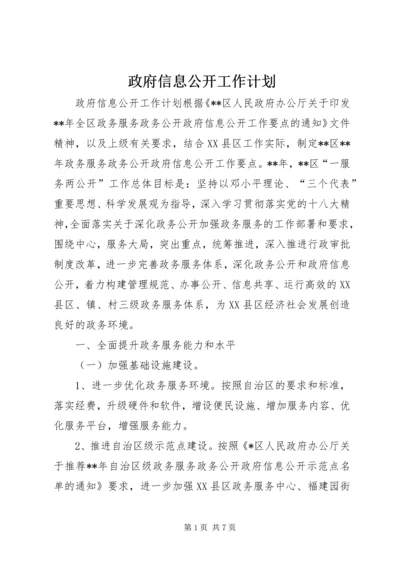 政府信息公开工作计划.docx