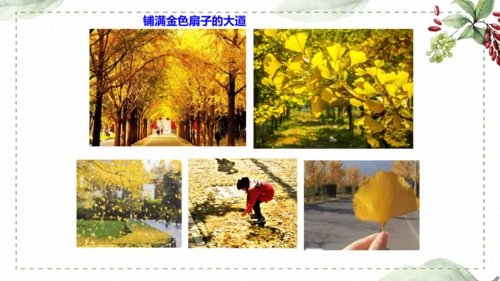 5 《铺满巴掌的水泥道》仿写指导课件