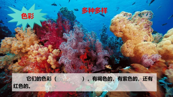 第23课 《海底世界》第二课时（教学课件）
