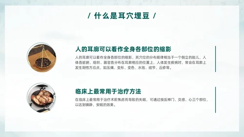 中国风古风水墨中医耳穴埋豆传统理疗操作培训PPT