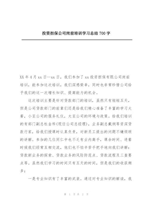 投资担保公司岗前培训学习总结700字.docx
