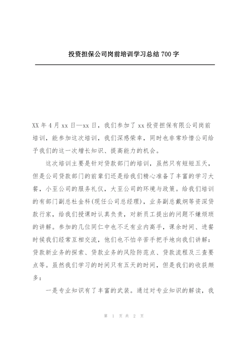 投资担保公司岗前培训学习总结700字.docx