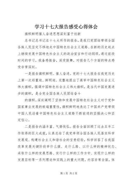 学习十七大报告感受心得体会.docx