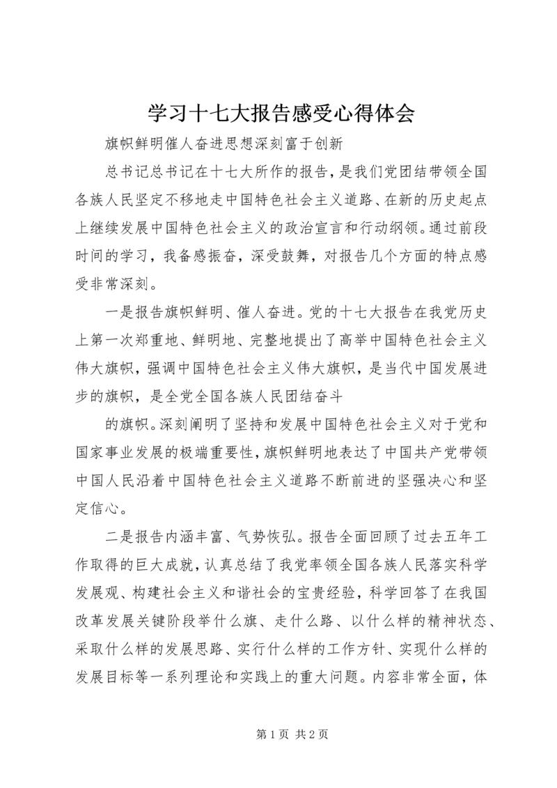 学习十七大报告感受心得体会.docx