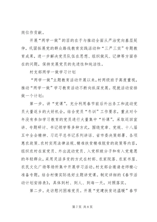 村党支部两学一做学习计划.docx