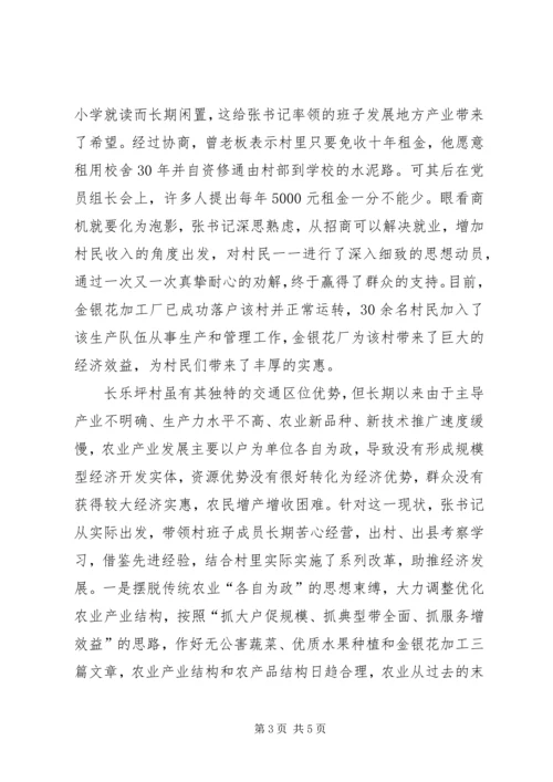 村党支部书记先进事迹材料 (12).docx