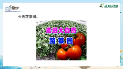 人教版一年级美术下册2.《走进大自然》课件（23页）