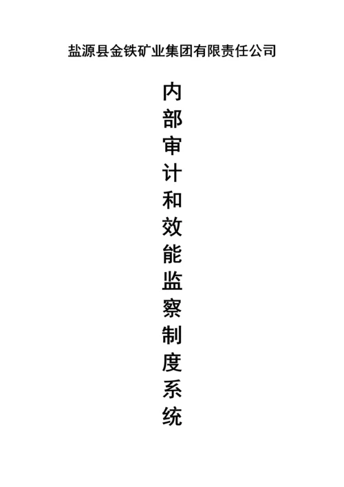 集团公司内部审计和效能监察制度.docx