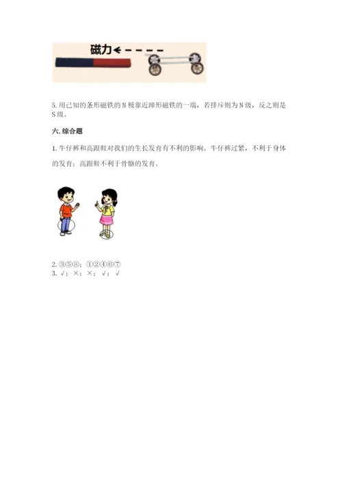 教科版二年级下册科学期末测试卷及完整答案（夺冠系列）.docx