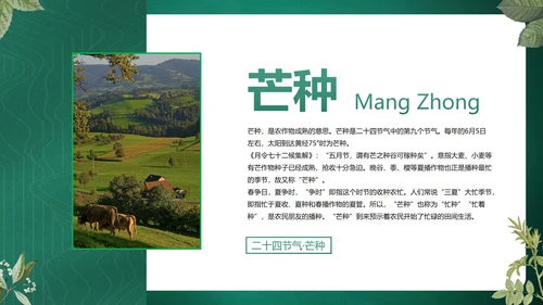 绿色花卉古风传统二十四节气科普主题教育PPT模板