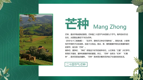 绿色花卉古风传统二十四节气科普主题教育PPT模板