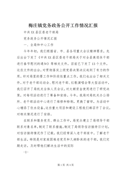 梅庄镇党务政务公开工作情况汇报 (4).docx