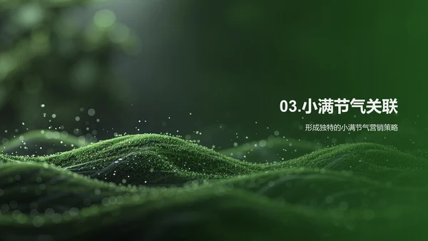 小满节气提升销售PPT模板