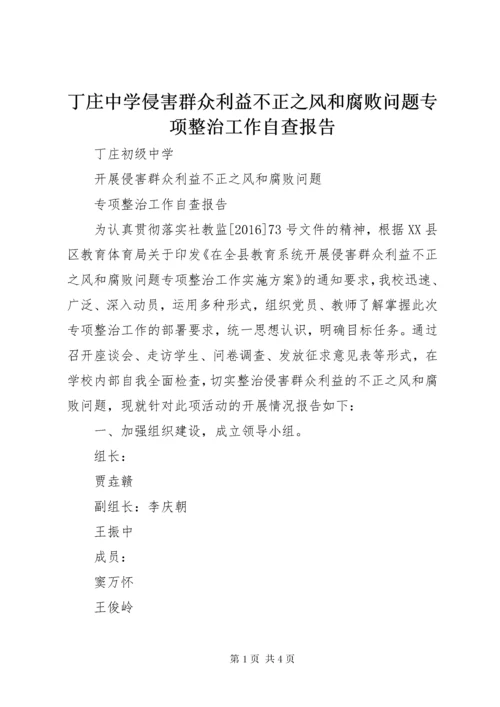 丁庄中学侵害群众利益不正之风和腐败问题专项整治工作自查报告.docx