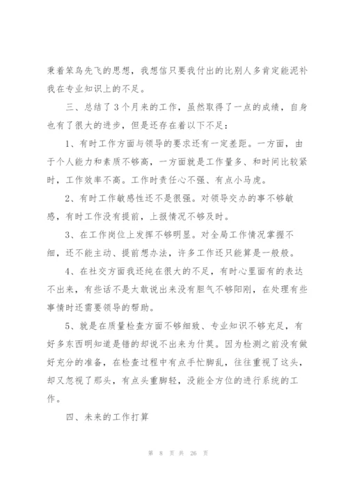 新人转正工作总结（10篇）.docx