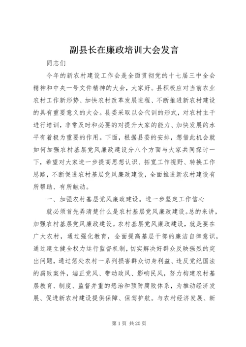 副县长在廉政培训大会发言.docx