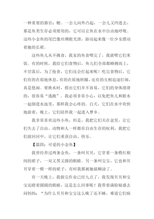 可爱的小金鱼作文350字.docx