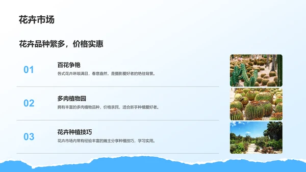 蓝色摄影风厦门网红景点与小众打卡路线攻略PPT模板