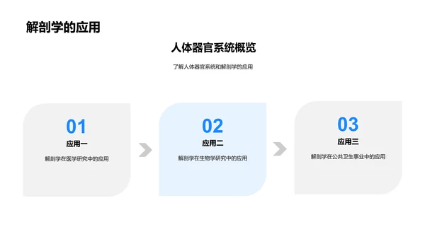 人体器官解剖讲座PPT模板