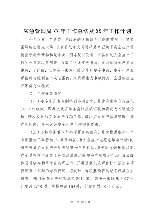 应急管理局XX年工作总结及XX年工作计划.docx
