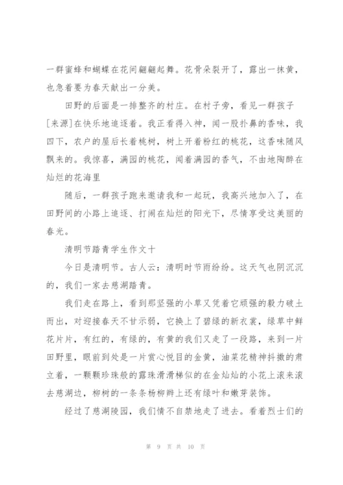 清明节踏青学生作文10篇.docx