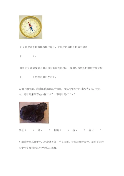 教科版二年级下册科学期末测试卷word.docx