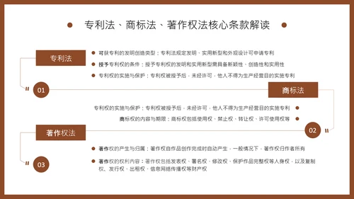 棕色商务风知识产权保护制度培训PPT
