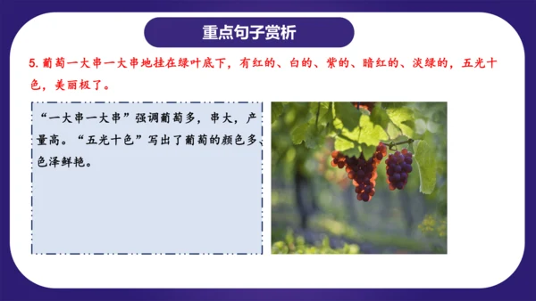 统编版2023-2024学年二年级语文上册单元复习第四单元（复习课件）（含答案）