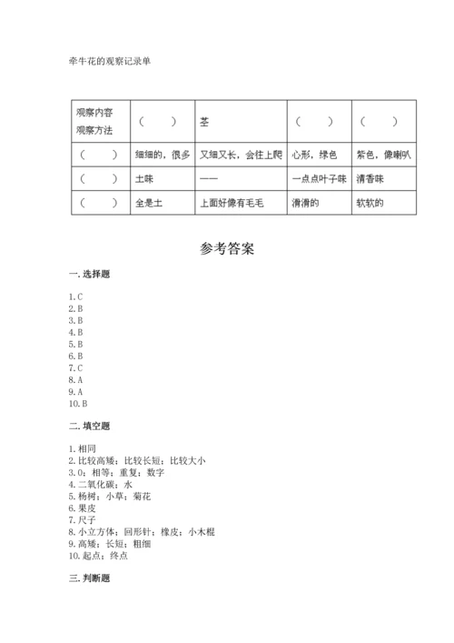 教科版科学一年级上册期末测试卷及答案（新）.docx