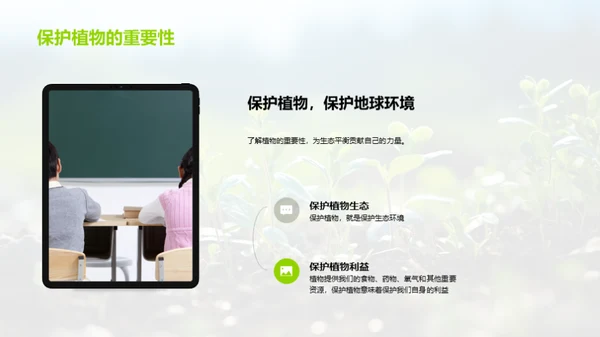 深入植物奥秘
