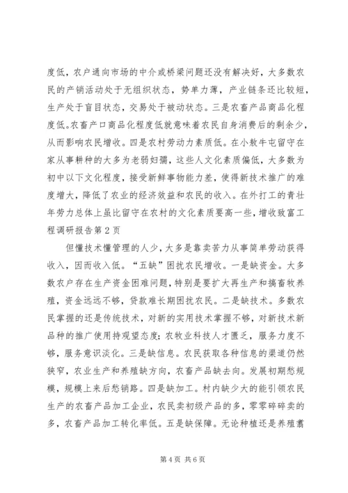 增收致富工程调研报告 (7).docx