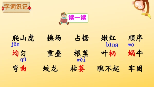 10 爬山虎的脚   课件