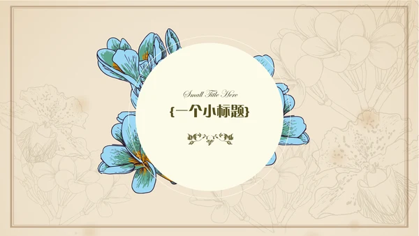 小清新文艺欧式复古通用PPT模板