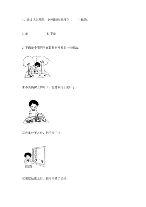 教科版科学一年级上册第一单元《植物》测试卷附答案ab卷.docx