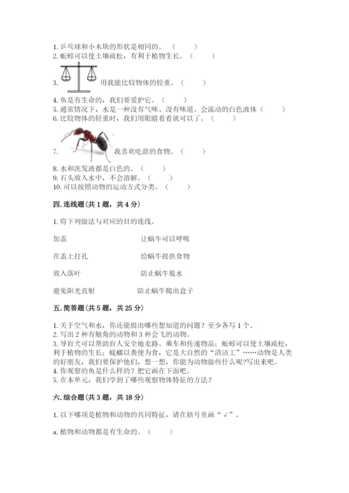 教科版一年级下册科学期末测试卷附完整答案（网校专用）.docx