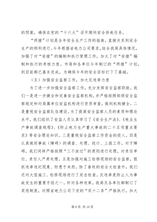 电力局安全保卫工作总结及计划 (3).docx