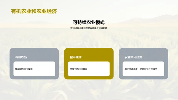 可持续农业发展的路径选择