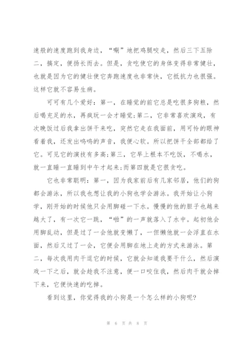 我家的小狗作文600字5篇.docx