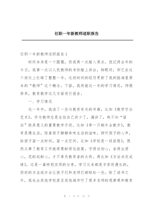 任职一年新教师述职报告.docx