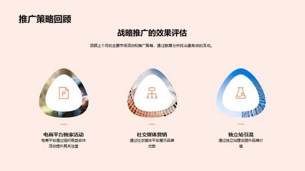 销售业绩及市场策略解析