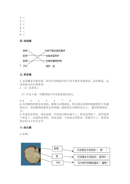 教科版科学四年级下册第一单元《植物的生长变化》测试卷精品（预热题）.docx