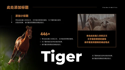 Tiger老虎通用PPT演示模板