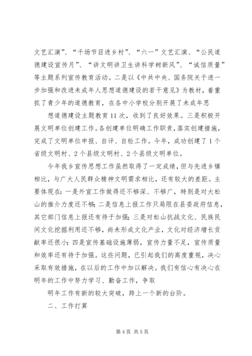 乡镇宣传思想工作总结及工作计划.docx
