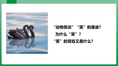 17.动物笑谈（课件）【2023秋人教七上语文高效实用备课】(共33张PPT)