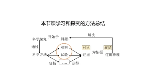 1.1.1 生物的特征 课件（共28张PPT）